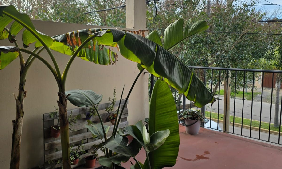 IMG-20250811-WA0077