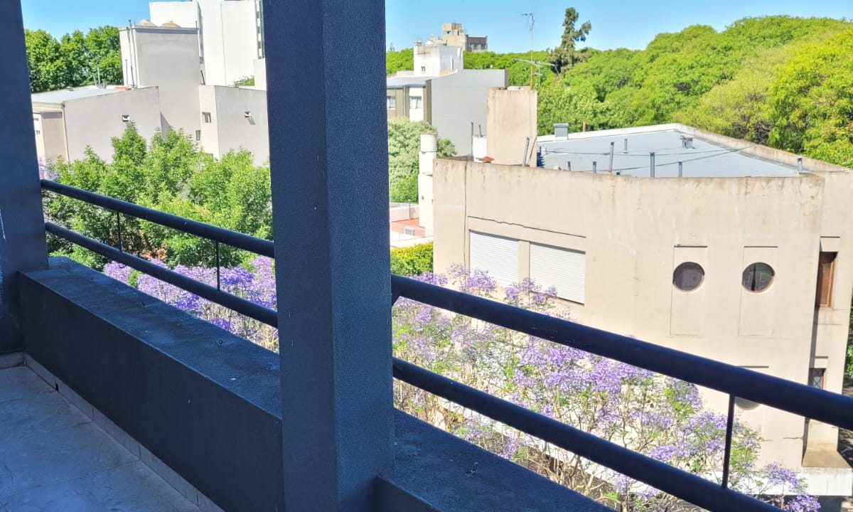 WhatsApp Image 2025-11-14 at 15.59.39