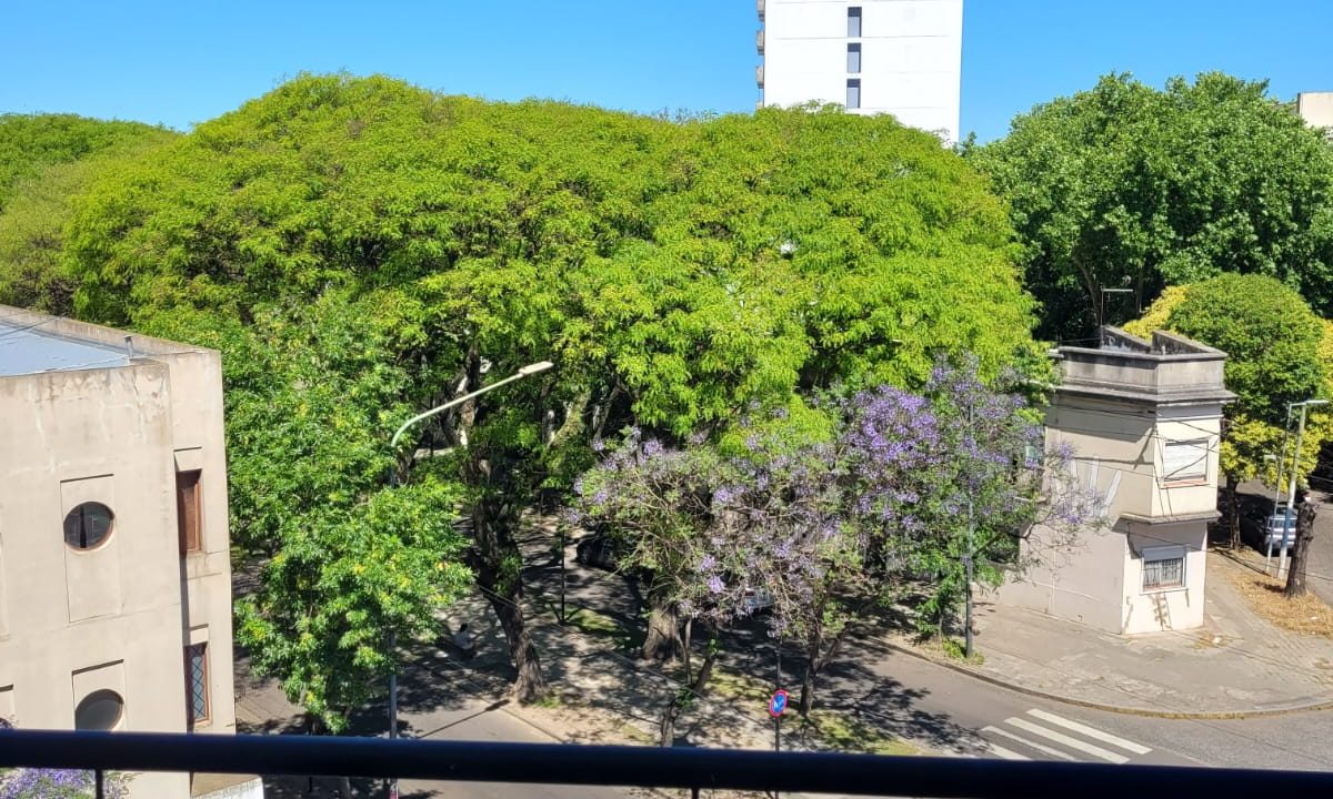 WhatsApp Image 2025-11-14 at 15.59.39 (1)