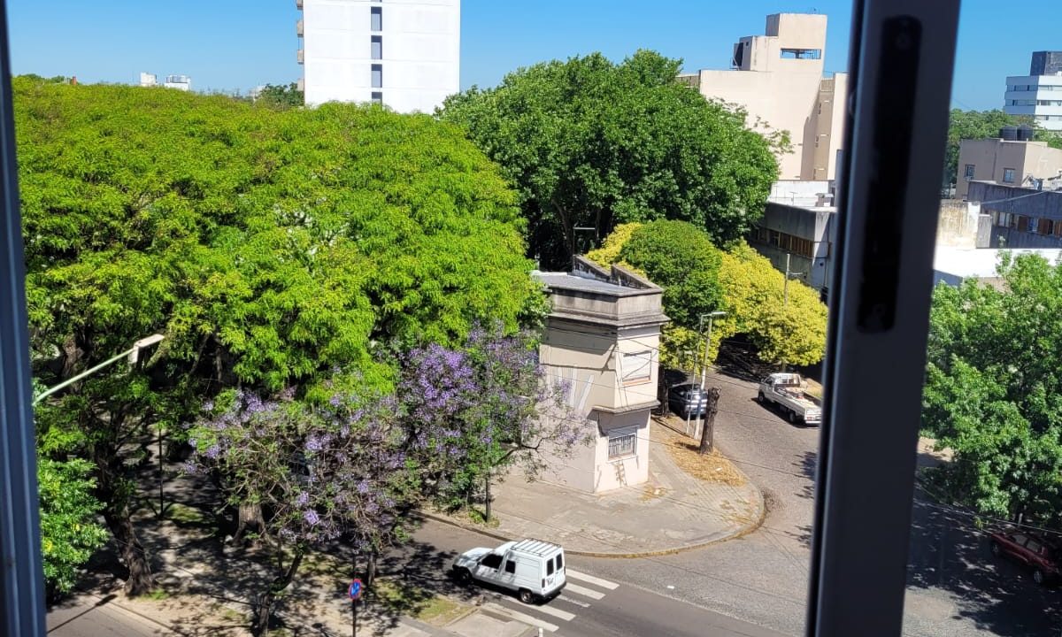 WhatsApp Image 2025-11-14 at 15.59.43 (3)